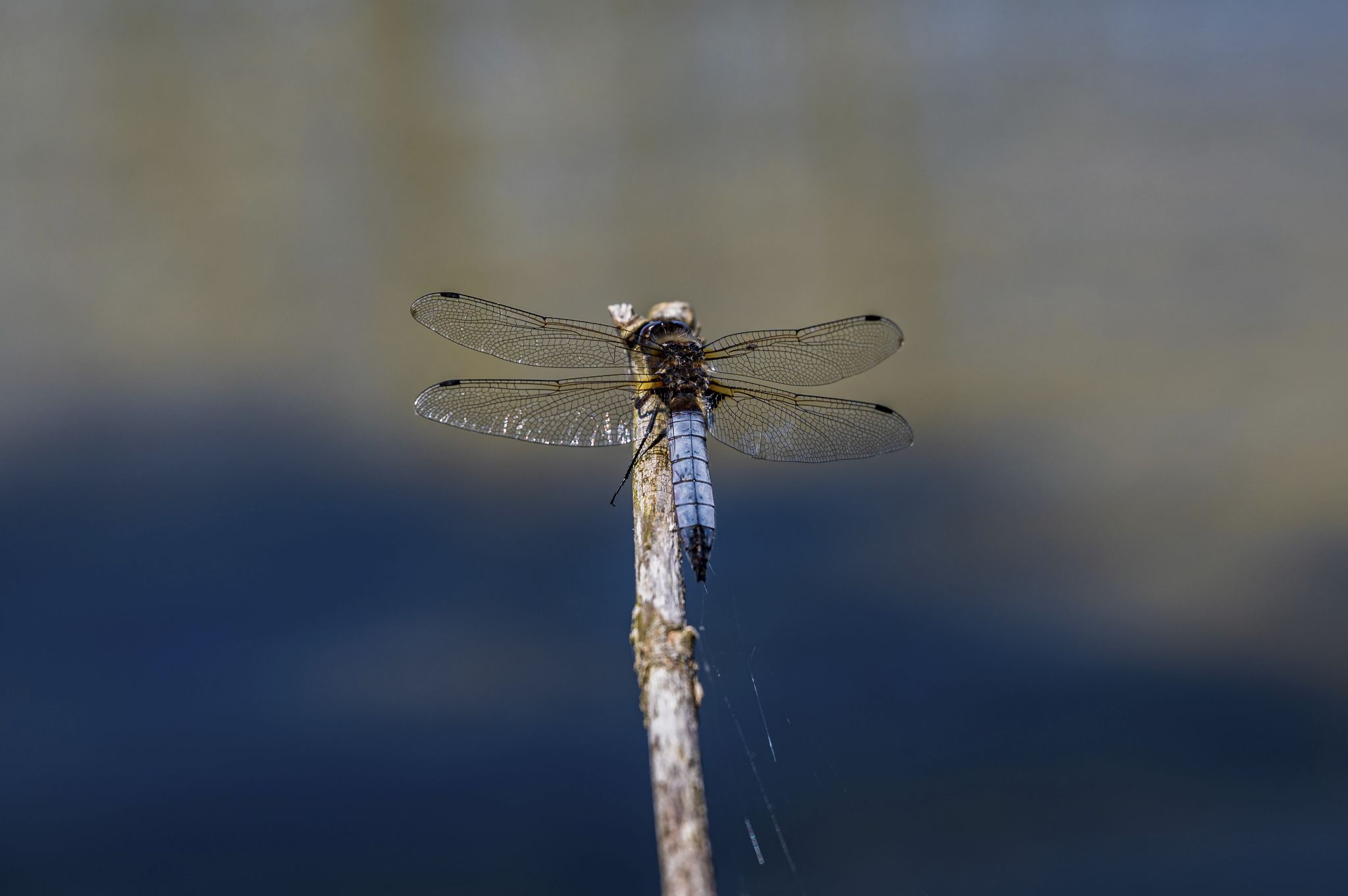 Kajaktour Staffelsee 12.06.22